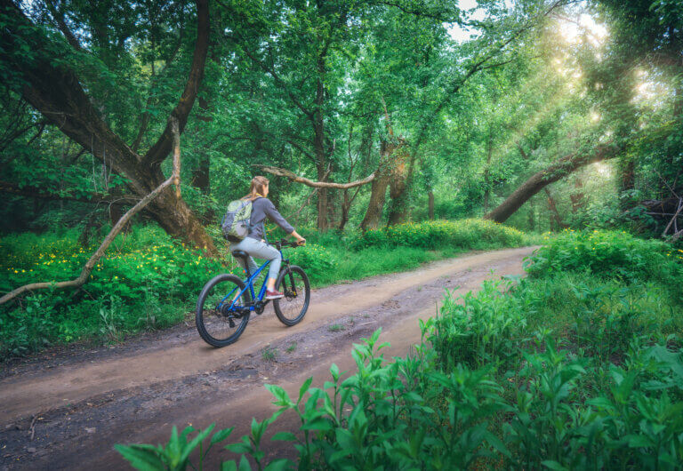 Woman riding a bicycle in a forest