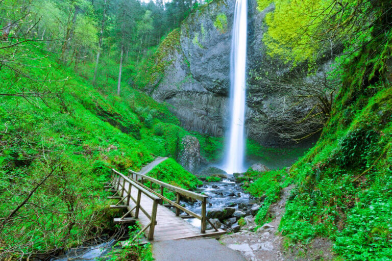 Waterfall and footbridge in Oregon