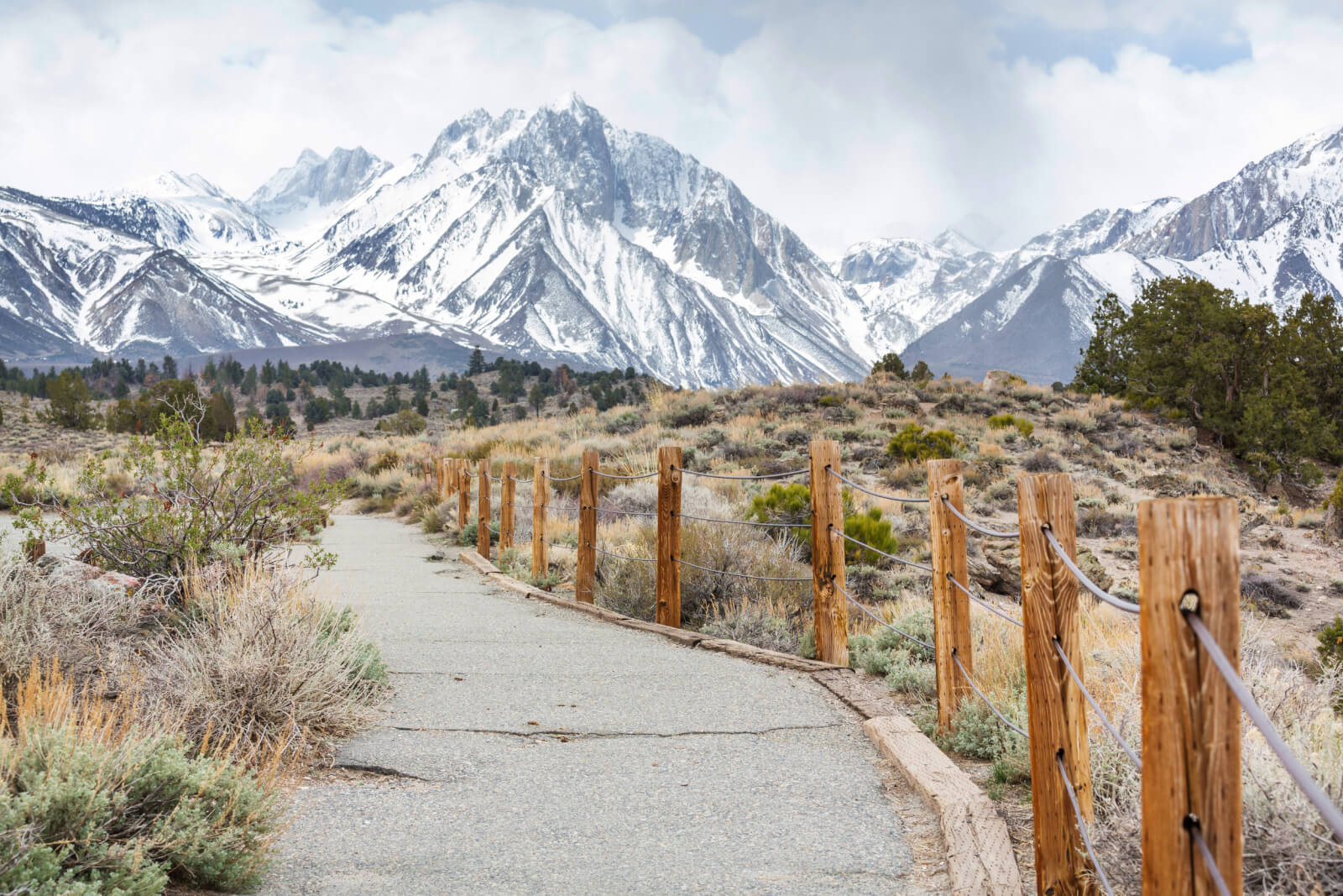 New Singletrack Trails Come to the Sierra Nevada Mountains